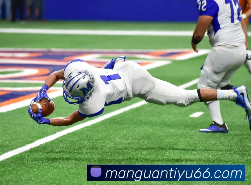 满贯体育APP 封面图